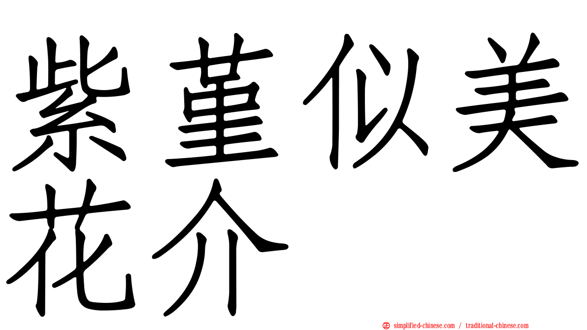 紫堇似美花介