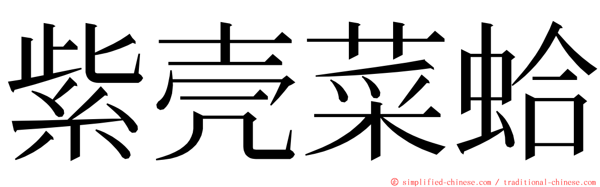 紫壳菜蛤 ming font