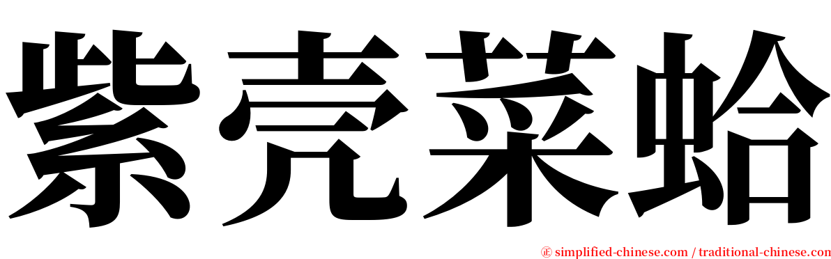 紫壳菜蛤 serif font