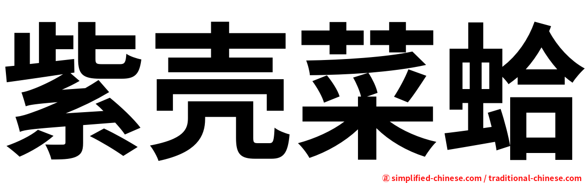 紫壳菜蛤