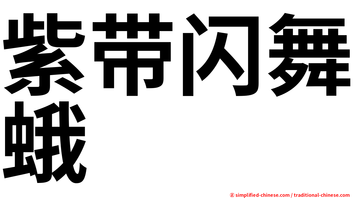 紫带闪舞蛾