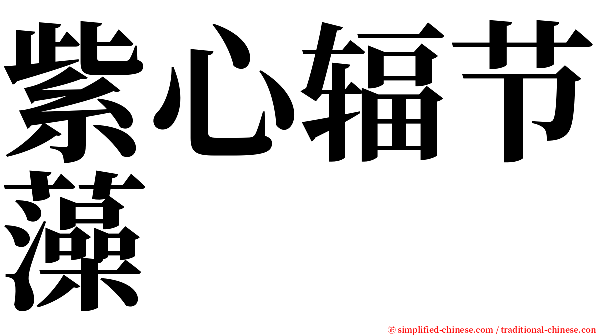紫心辐节藻 serif font