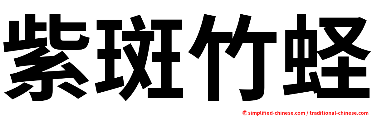 紫斑竹蛏