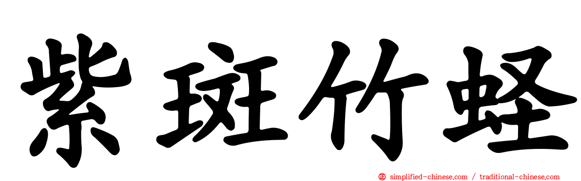 紫斑竹蛏