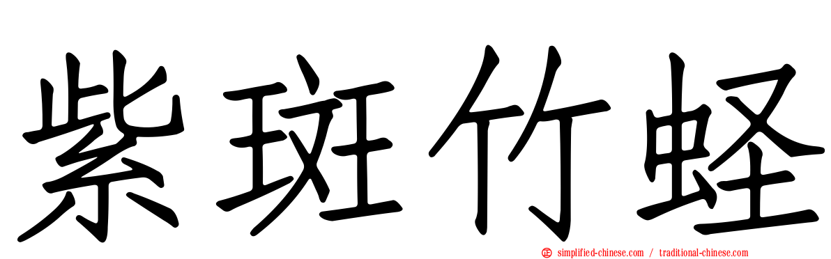 紫斑竹蛏