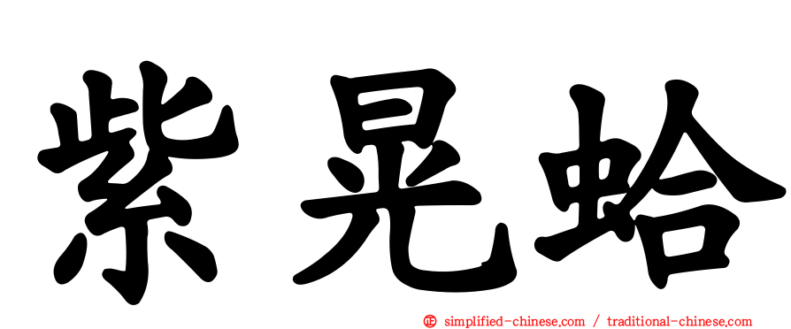紫晃蛤
