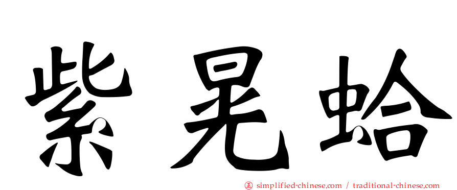紫晃蛤