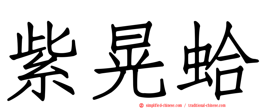 紫晃蛤