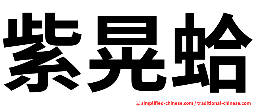 紫晃蛤