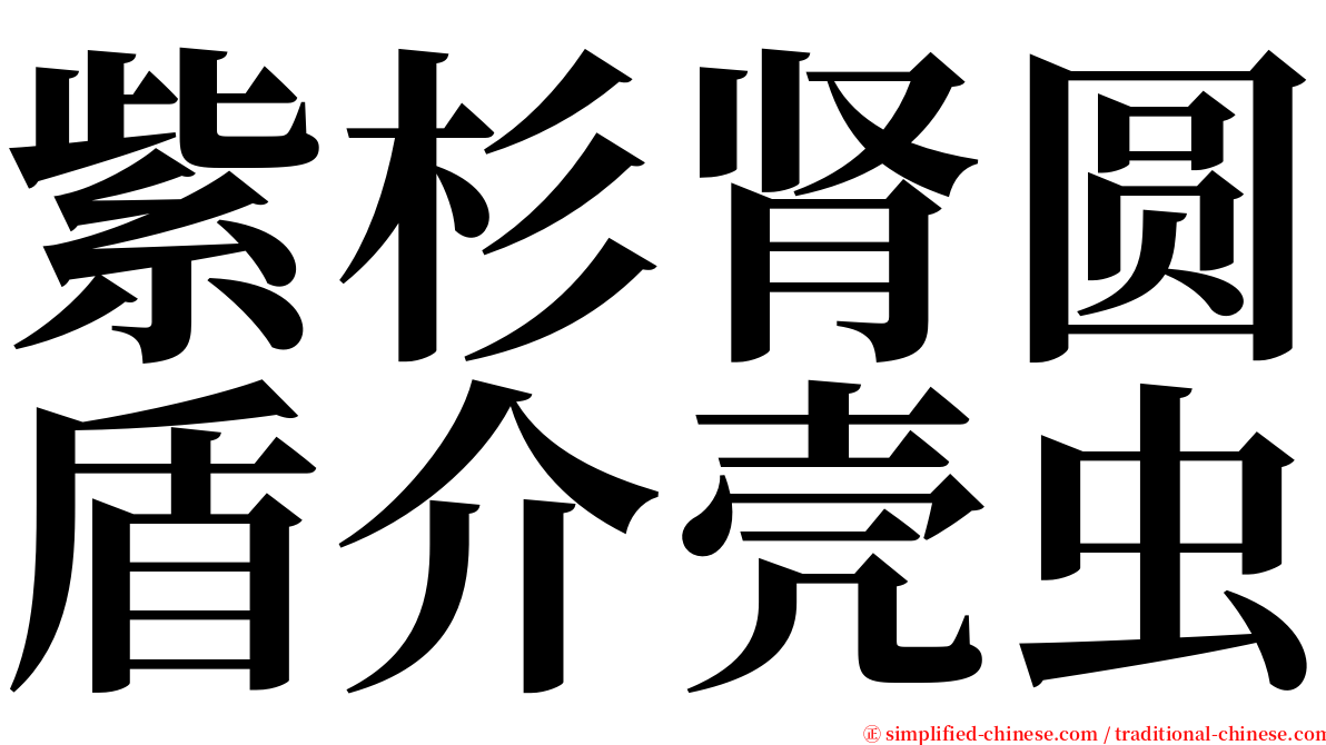紫杉肾圆盾介壳虫 serif font
