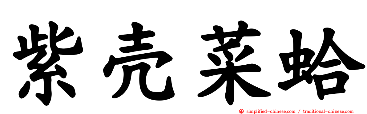 紫壳菜蛤
