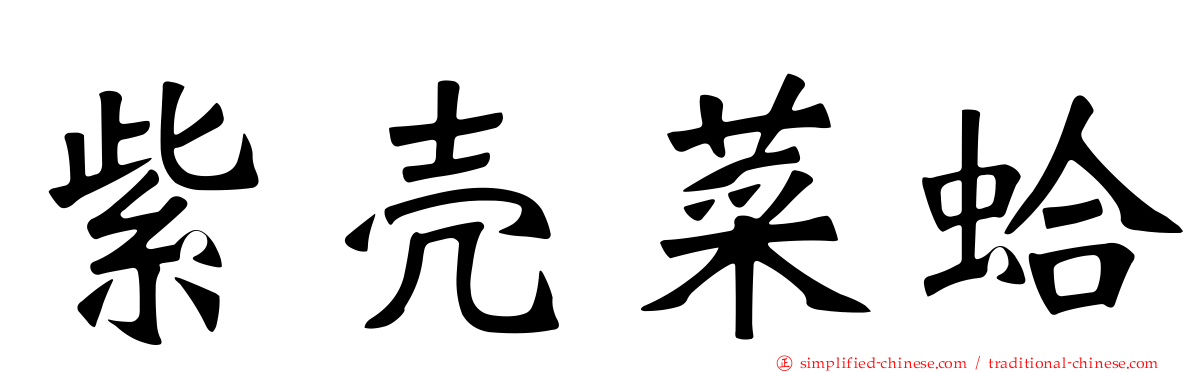 紫壳菜蛤