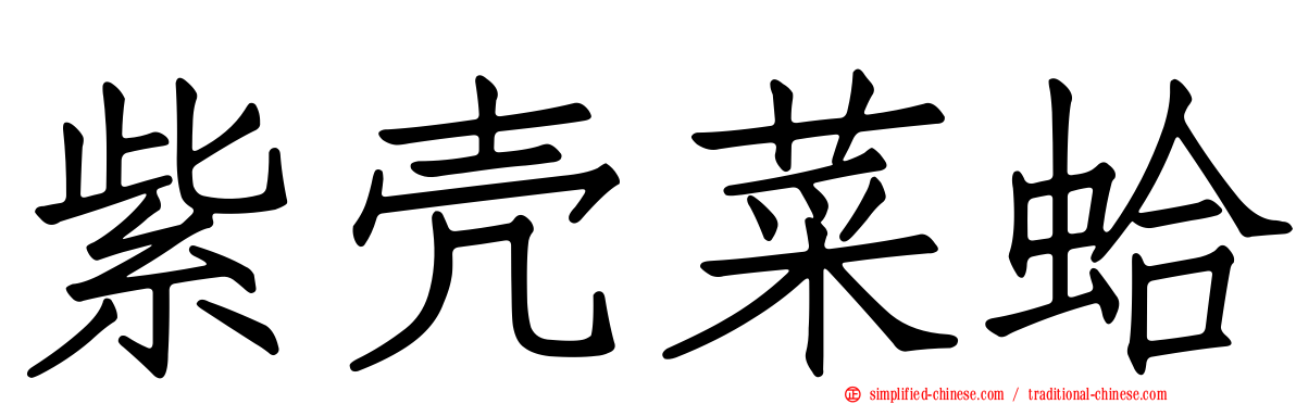 紫壳菜蛤