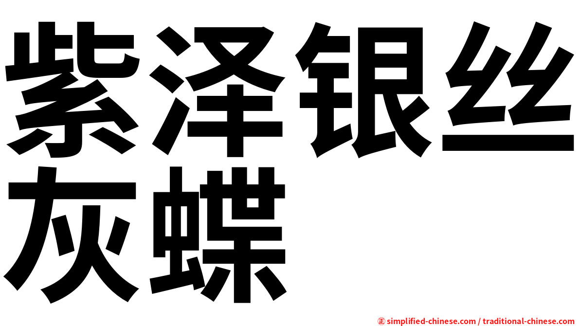 紫泽银丝灰蝶