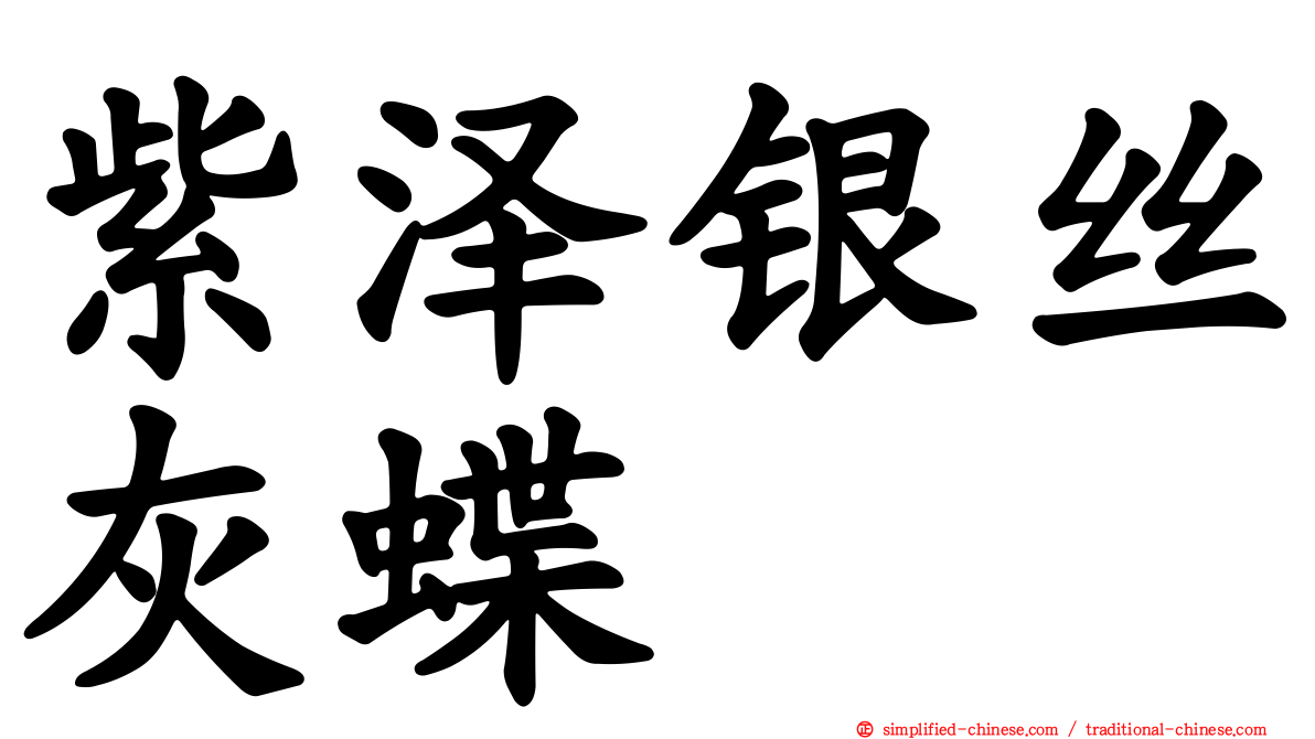 紫泽银丝灰蝶