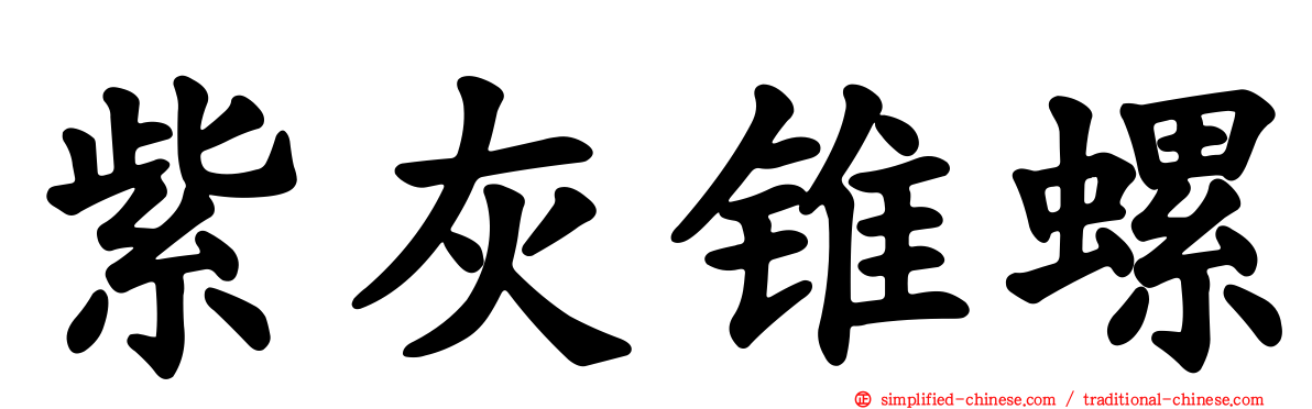 紫灰锥螺