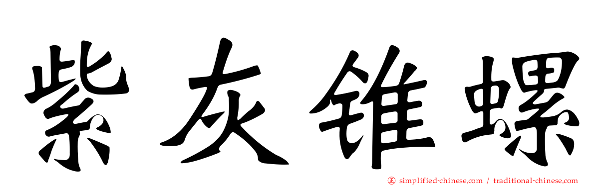 紫灰锥螺