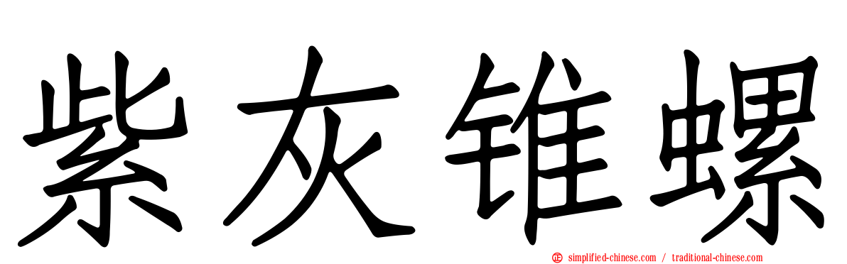 紫灰锥螺
