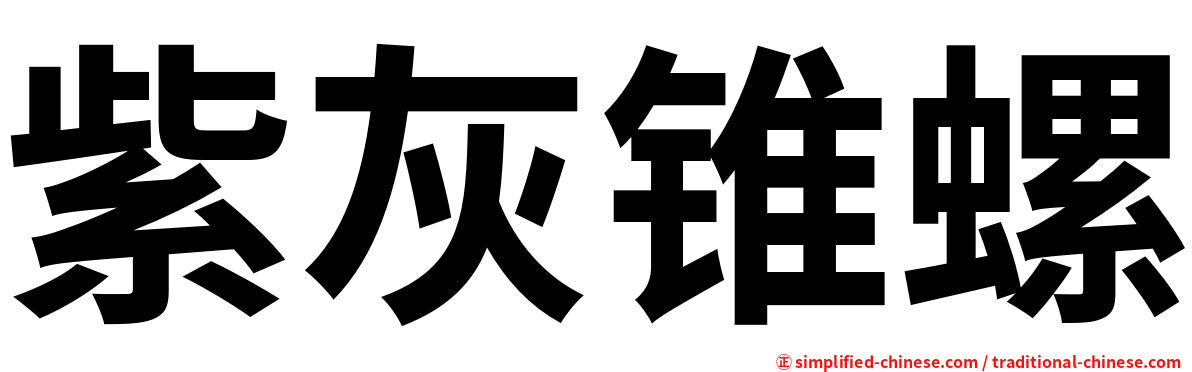 紫灰锥螺