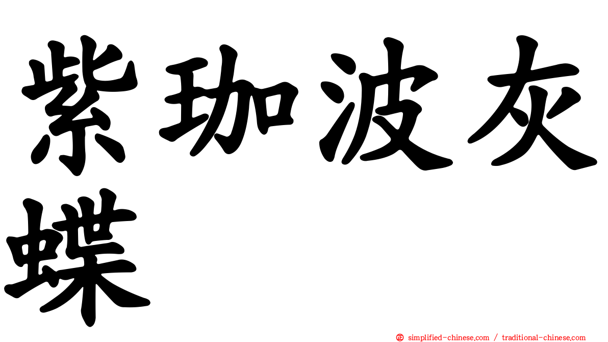 紫珈波灰蝶