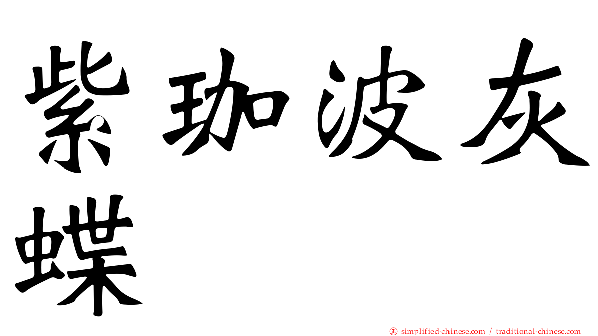 紫珈波灰蝶