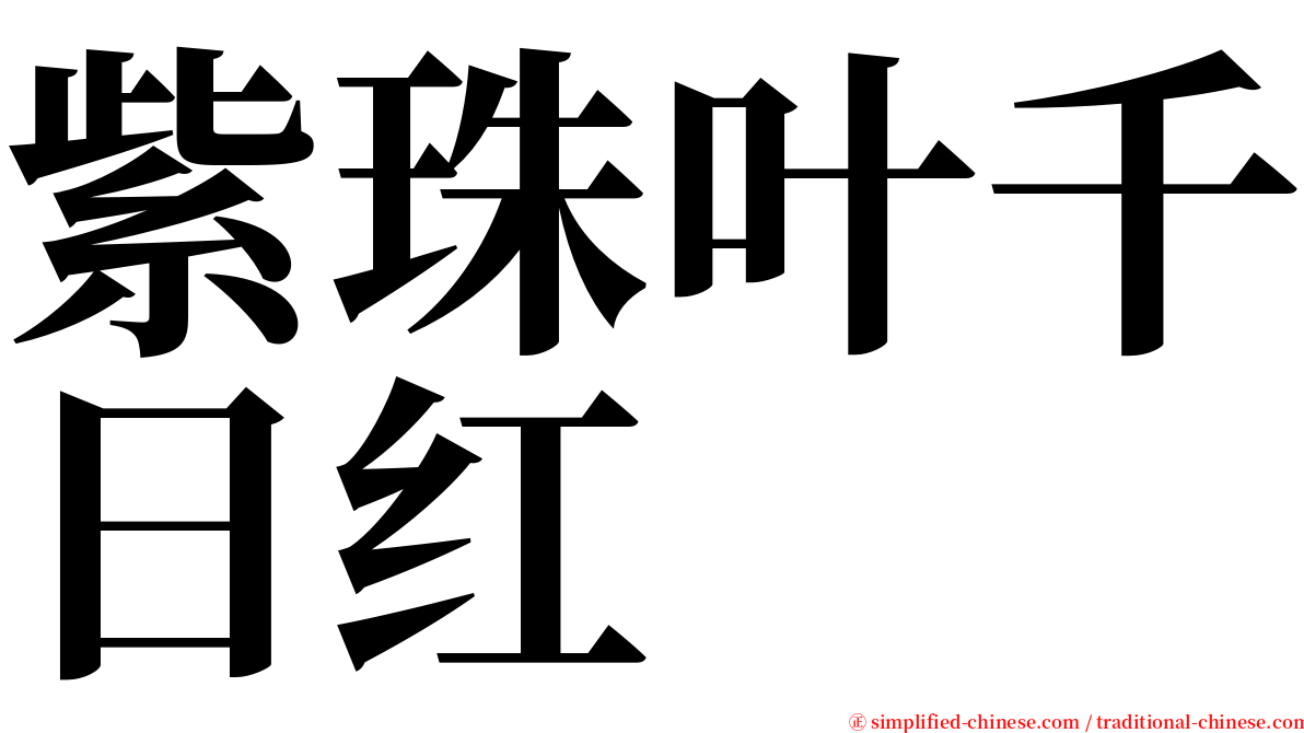 紫珠叶千日红 serif font