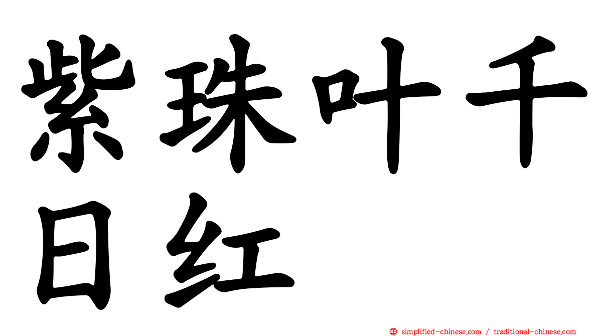 紫珠叶千日红