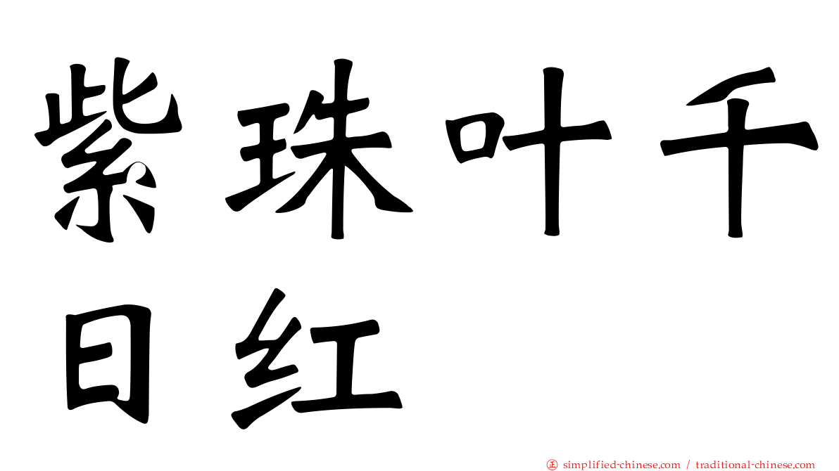 紫珠叶千日红