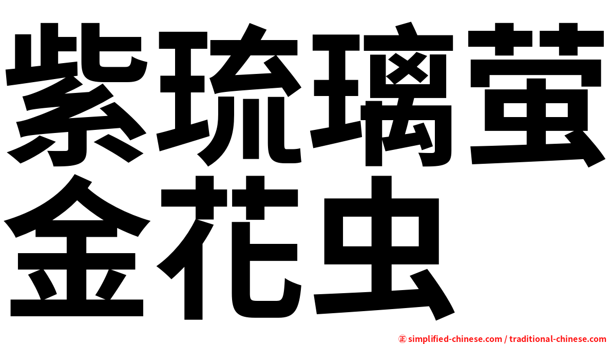 紫琉璃萤金花虫