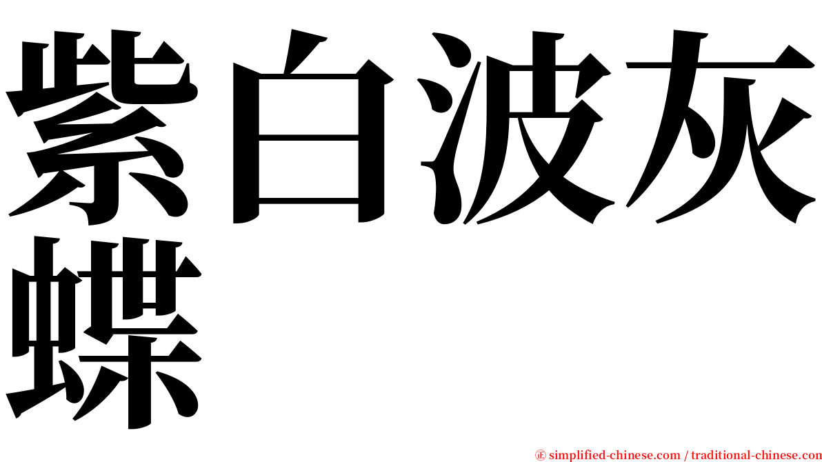 紫白波灰蝶 serif font