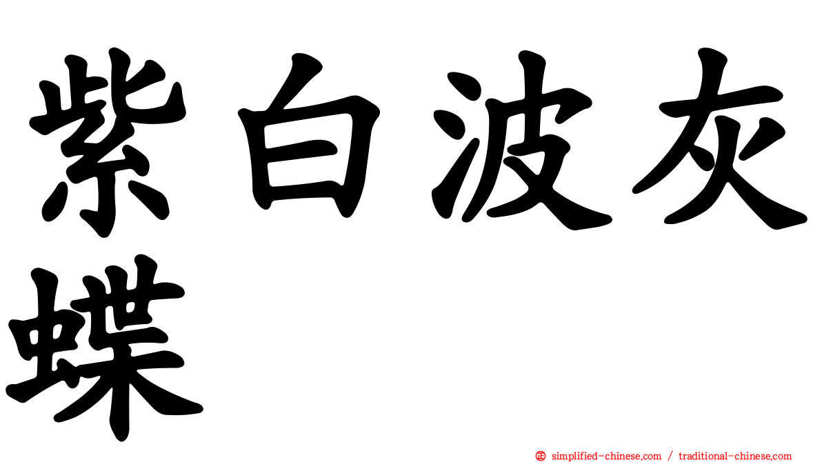 紫白波灰蝶