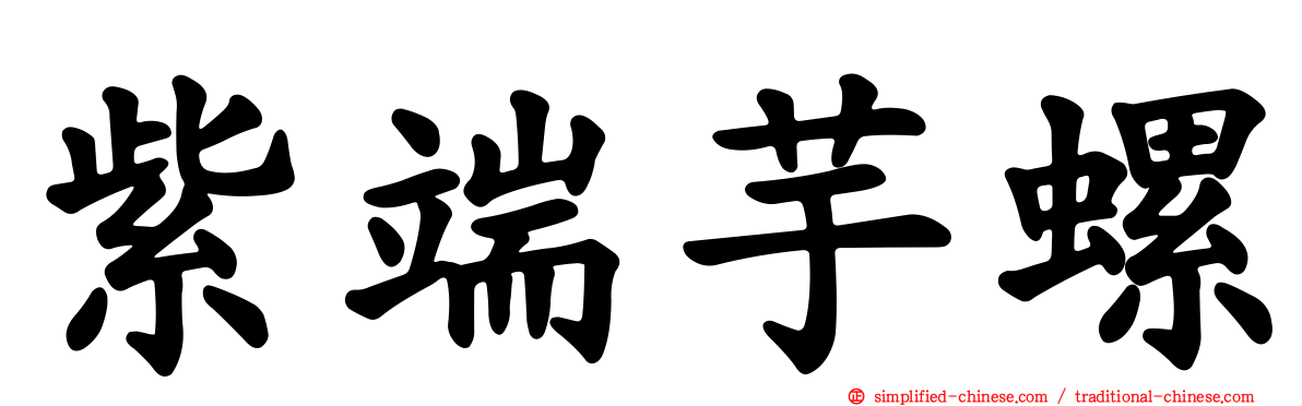 紫端芋螺