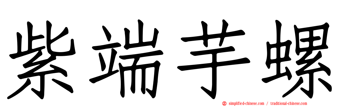 紫端芋螺