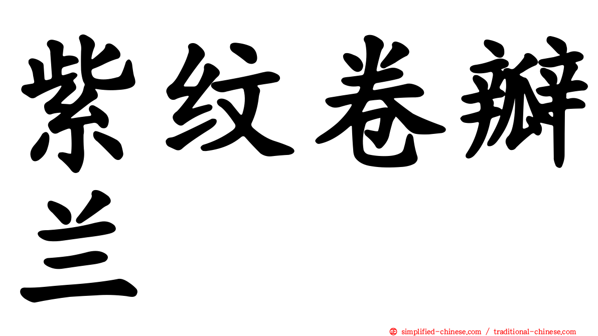 紫纹卷瓣兰