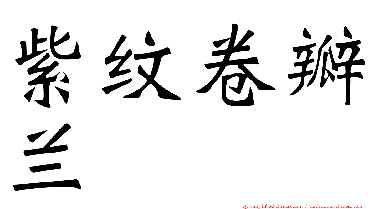 紫纹卷瓣兰