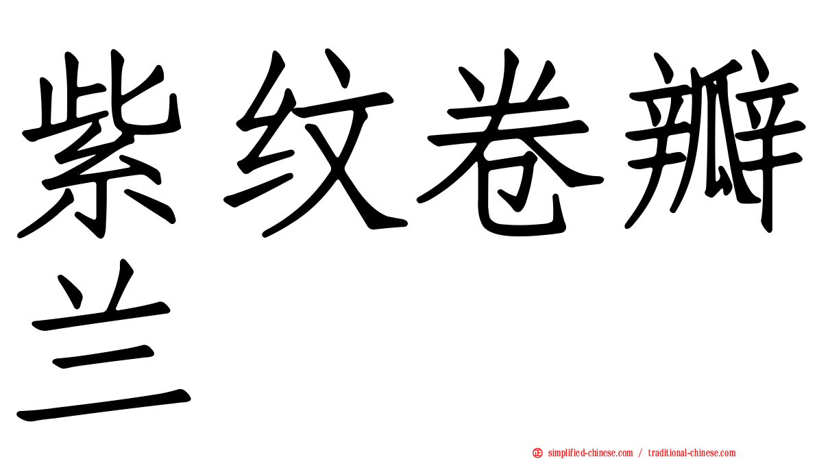 紫纹卷瓣兰