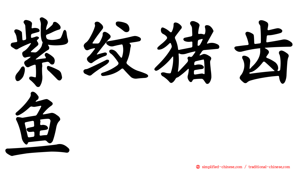 紫纹猪齿鱼