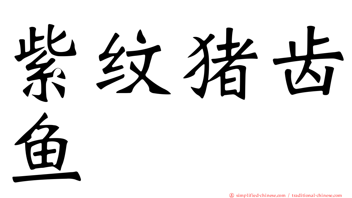紫纹猪齿鱼