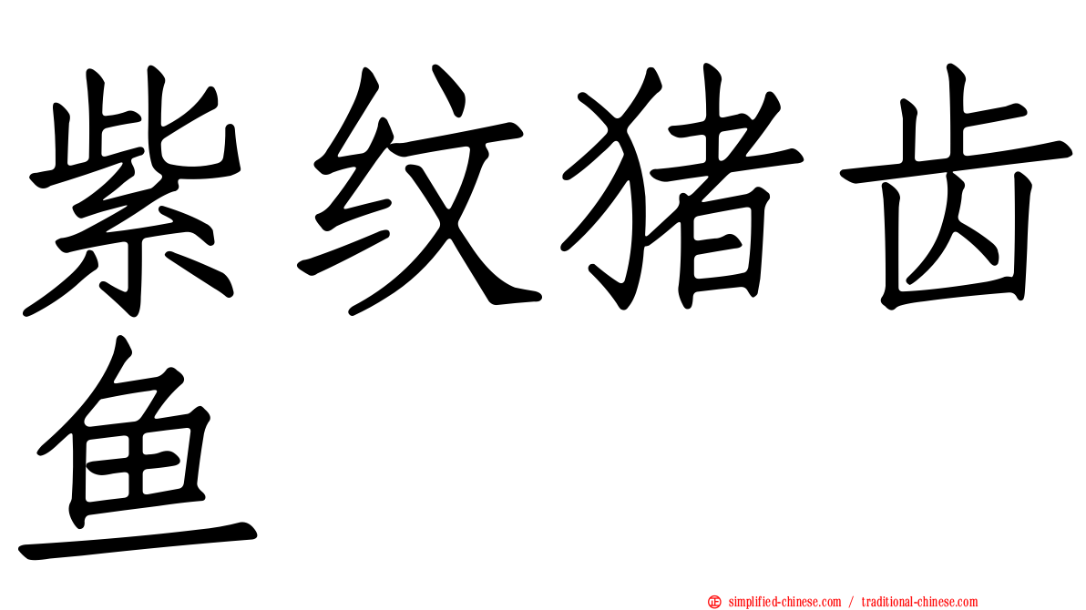 紫纹猪齿鱼