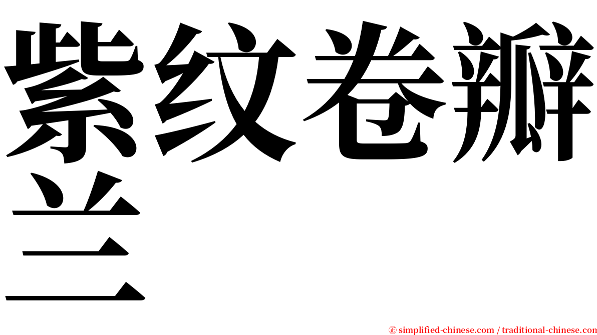 紫纹卷瓣兰 serif font