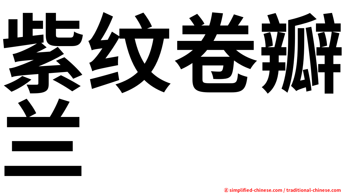 紫纹卷瓣兰