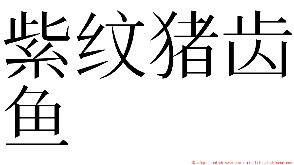 紫纹猪齿鱼 ming font