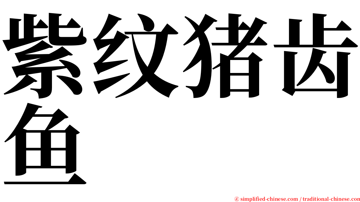 紫纹猪齿鱼 serif font