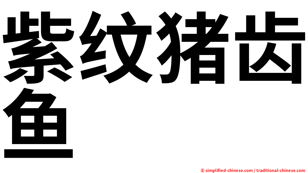 紫纹猪齿鱼