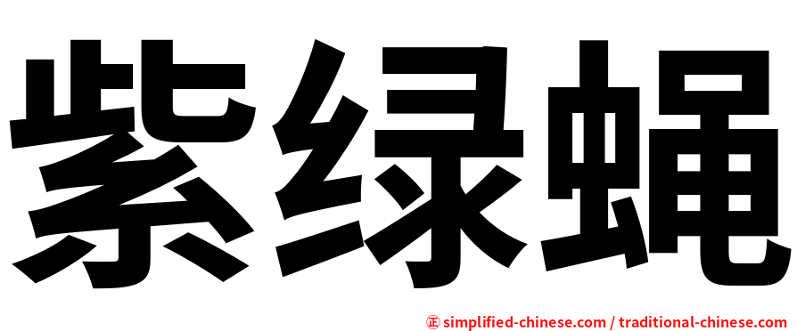 紫绿蝇