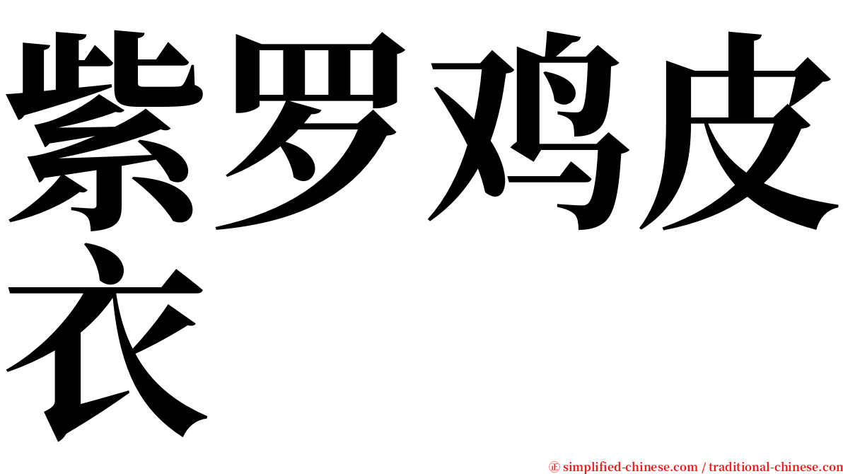 紫罗鸡皮衣 serif font