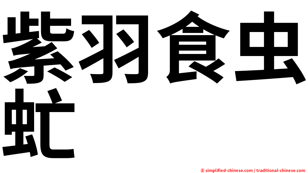 紫羽食虫虻