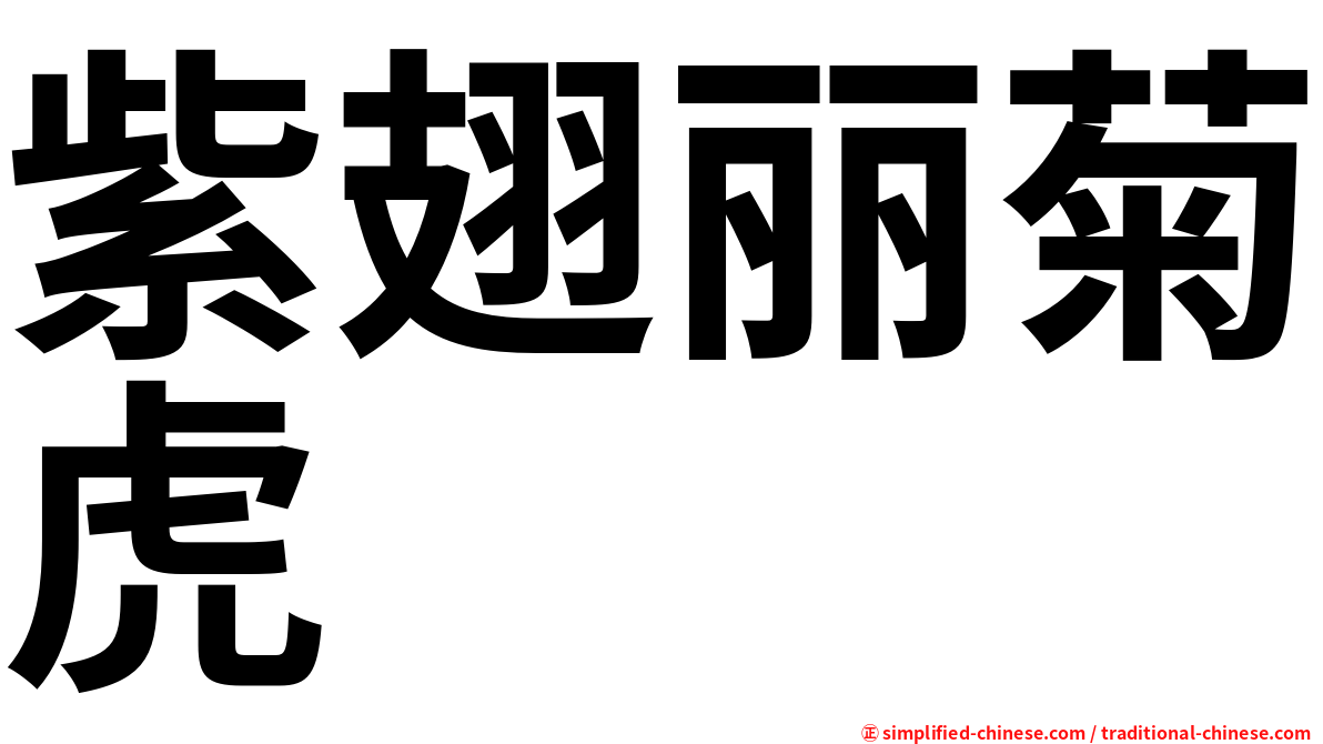 紫翅丽菊虎