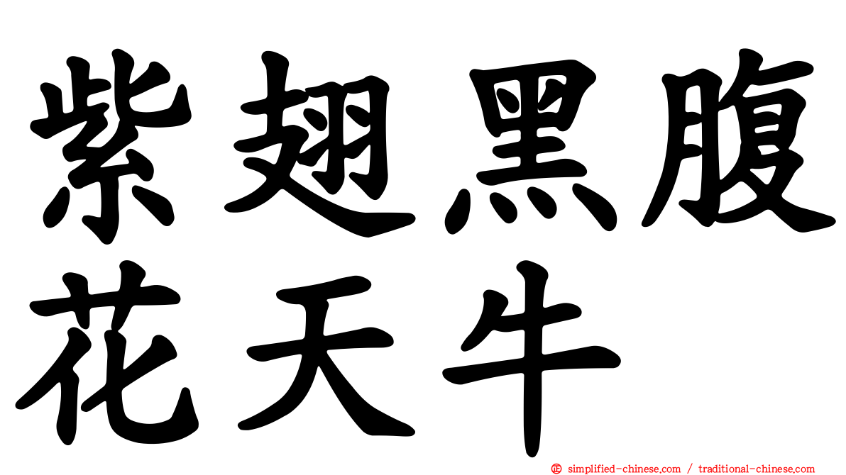 紫翅黑腹花天牛