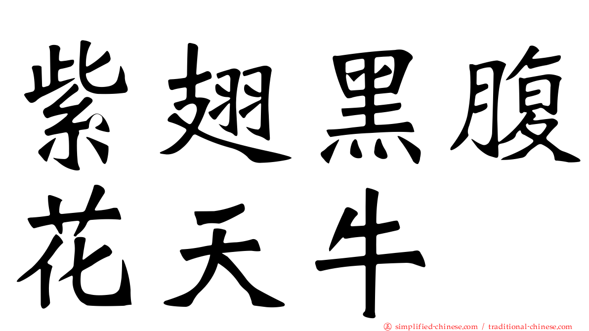 紫翅黑腹花天牛